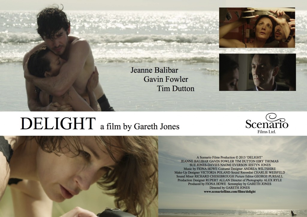 DELIGHT_Poster_Festivals_2013_v3